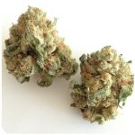 Шишки "White Widow"  (Белая вдова)  Гидропоника -  Бошка VHQ в Саратове