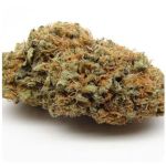 Шишки AK47  (Гидропоника, Бошка) VHQ в Саратове